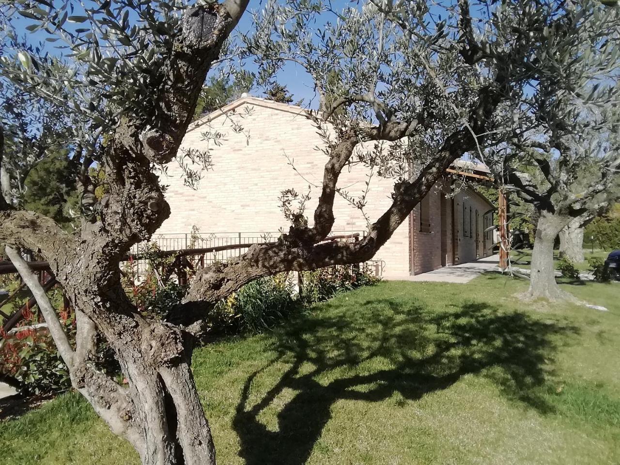 Apartamento Il Roccolo Di Valcerasa Treia Exterior foto