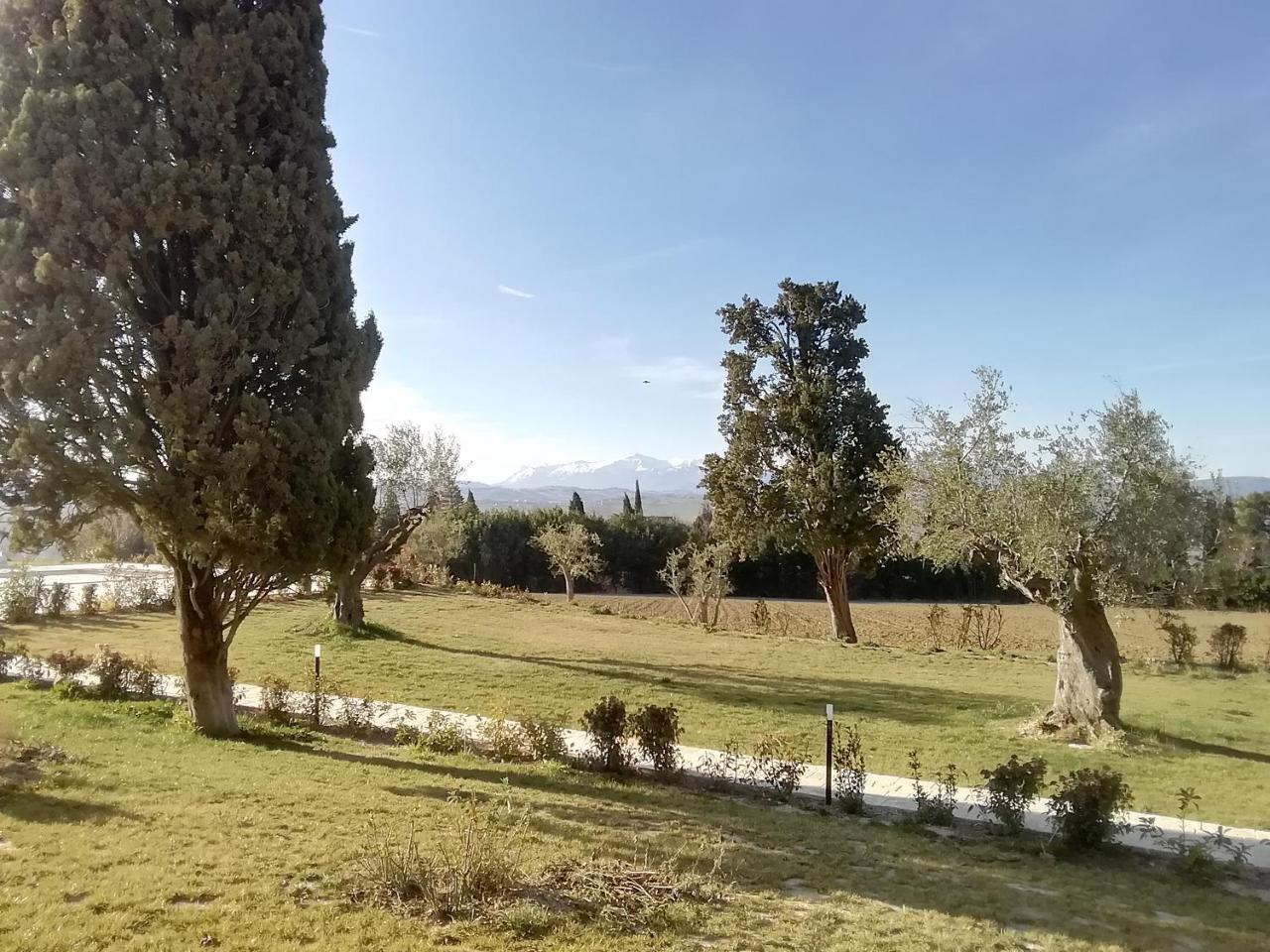 Apartamento Il Roccolo Di Valcerasa Treia Exterior foto